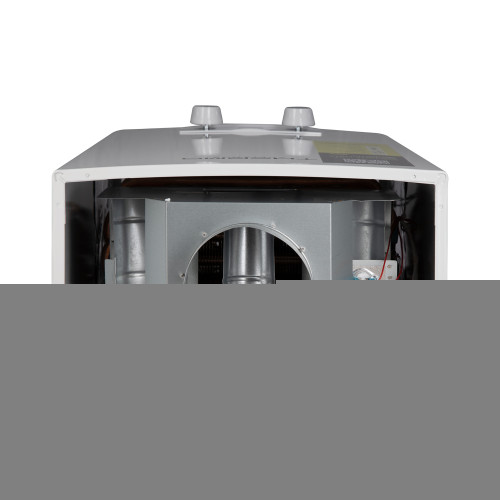 Колонка газовая дымоходная Thermo Alliance JSD20-10QB 10 л EURO Колонка газовая дымоходная Thermo Alliance JSD20-10QB 10 л EURO