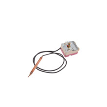 Термостат капиллярный Thermo Alliance, 75±5 °С (36300090) Термостат капиллярный Thermo Alliance, 75±5 °С (36300090)
