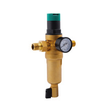 Фильтр самопромывной Thermo Alliance Forte 1/2