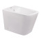 Биде напольное Qtap Tern 550x360x410 White QT1744003CW Биде напольное Qtap Tern 550x360x410 White QT1744003CW