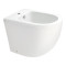 Биде напольное Qtap Robin 560x355x410 White QT13441381W Биде напольное Qtap Robin 560x355x410 White QT13441381W