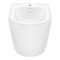 Биде напольное Qtap Robin 560x355x410 White QT13441381W Биде напольное Qtap Robin 560x355x410 White QT13441381W