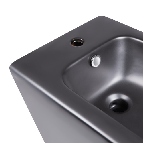 Биде напольное Qtap Robin 565x360x405 Matt black QT13442141CMB Биде напольное Qtap Robin 565x360x405 Matt black QT13442141CMB
