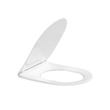 Сиденье для унитаза Qtap (Jay 490, Swan 490) с микролифтом Slim QT99SC6106W