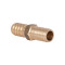 Одинарник Thermo Alliance Standart 14 SD42414