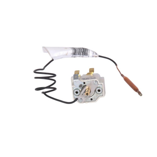Термостат капиллярный Thermo Alliance Neptun (M-008688) Термостат капиллярный Thermo Alliance Neptun (M-008688)