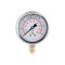 Манометр с глицерином Thermo Alliance Forte 6 бар, 1/4