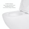 Акционный набор: Унитаз подвесной Jay Ultra Quiet QT07335177W 485х360х320 + Tern Ultra Quiet QT17332303ASW 490x365x325