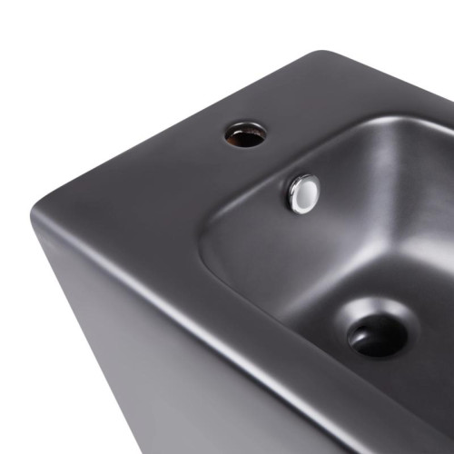 Акционный набор: Унитаз напольный Robin Ultra Quiet QT13226083AMB 660x360x855 Black + Биде напольное Robin QT13442141CMB 565x360x405 Black Акционный набор: Унитаз напольный Robin Ultra Quiet QT13226083AMB 660x360x855 Black + Биде напольное Robin QT13442141CMB 565x360x405 Black