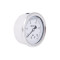 Манометр глицериновый Thermo Alliance Forte d63 мм, 1/4