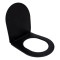 Сиденье для унитаза Qtap (Robin 490) 425x363x50 мм, Matt Black, с микролифтом Slim Duroplast, Quick Release QTSC179MB48676