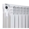 Радиатор биметаллический Thermo Alliance Bi-Ferrum 300/100 1,15 кг Радиатор биметаллический Thermo Alliance Bi-Ferrum 300/100 1,15 кг